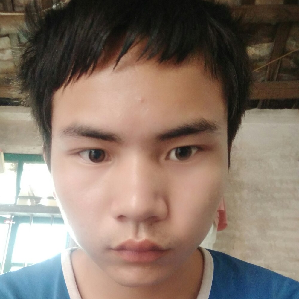 黑猫沉静的照片