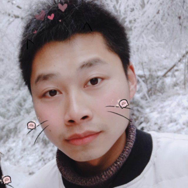 心岛活泼的照片