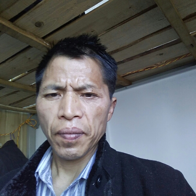 苗欢杯的照片