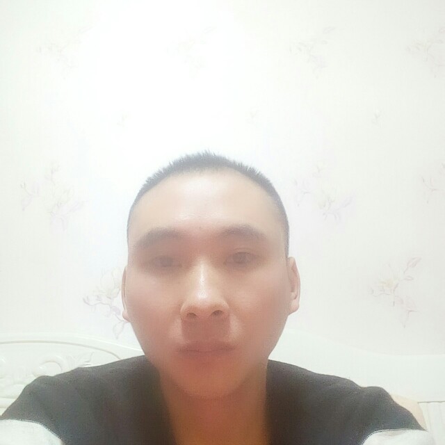 奋斗的含羞草的照片