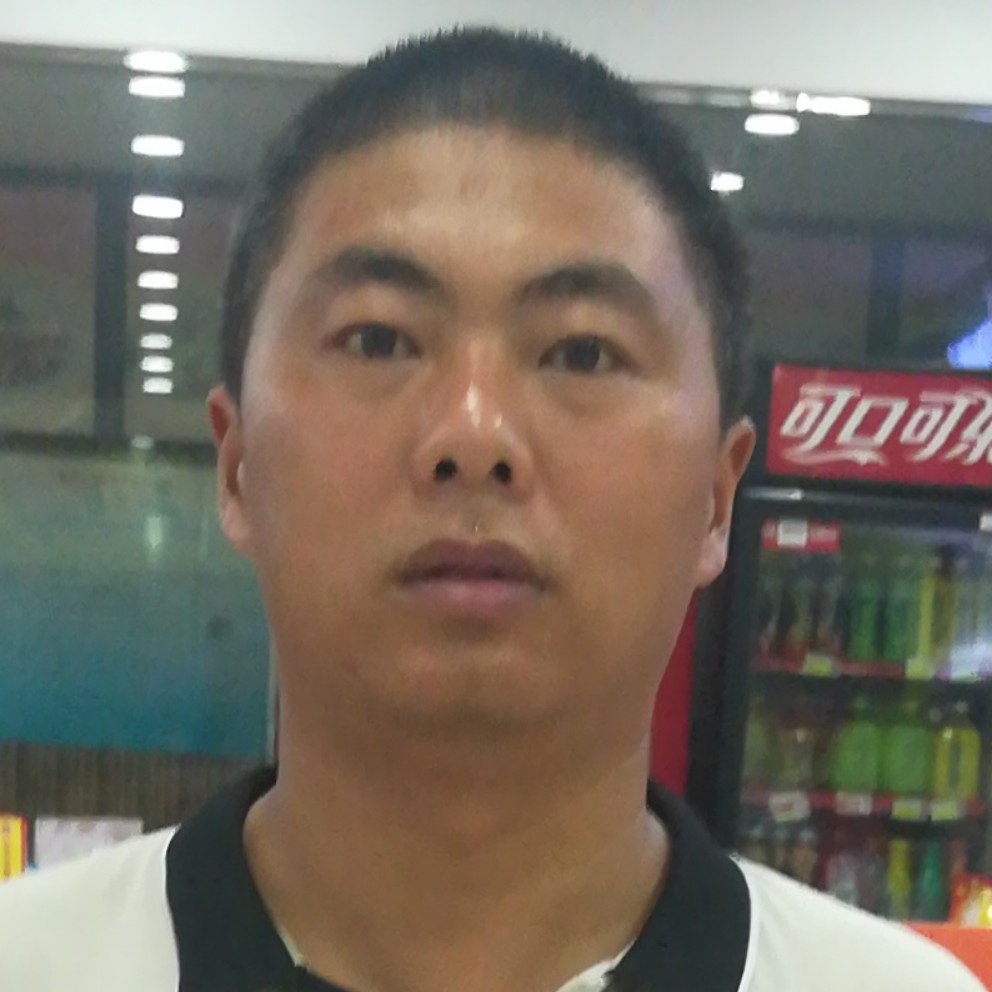 老鼠完美的照片