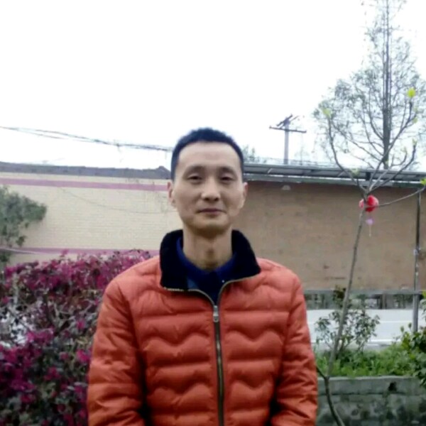 称心笑鸭子的照片