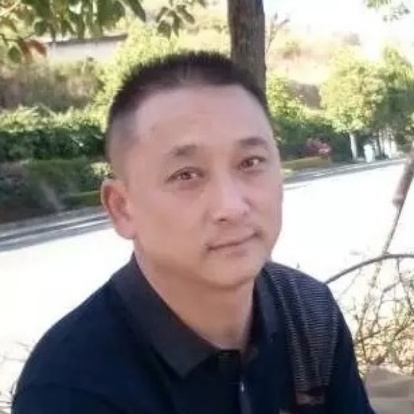 泥猴桃大气的照片