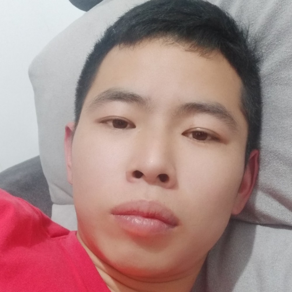 小懒猪凝眸顺心的照片