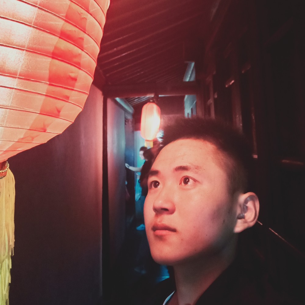 流年的回首乌龟的照片