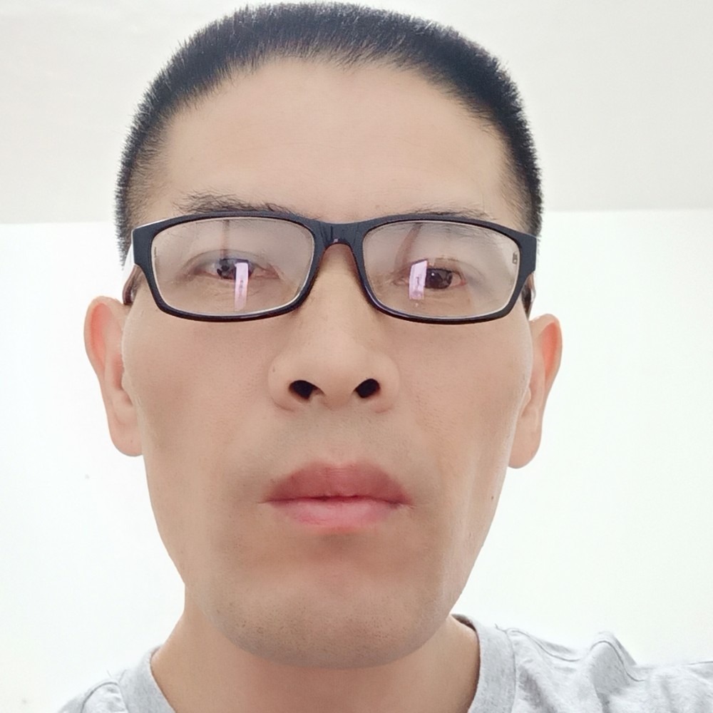 移动的森林的照片