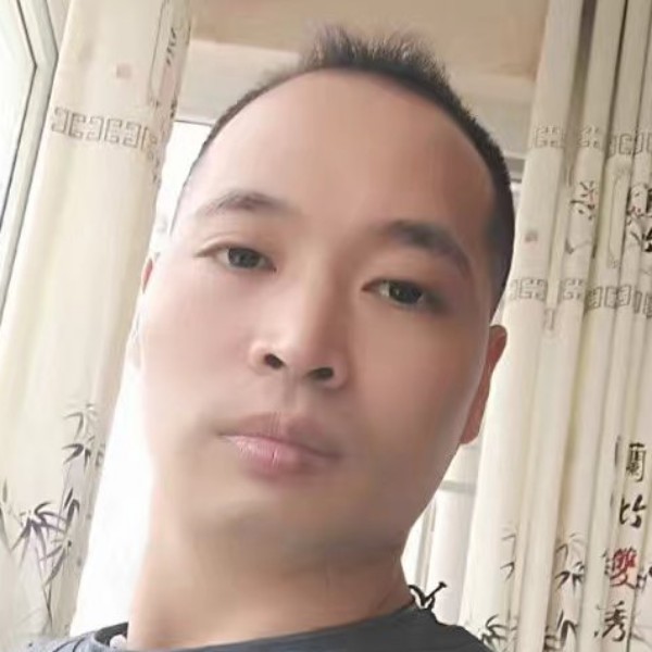 鸿雁(goose的照片