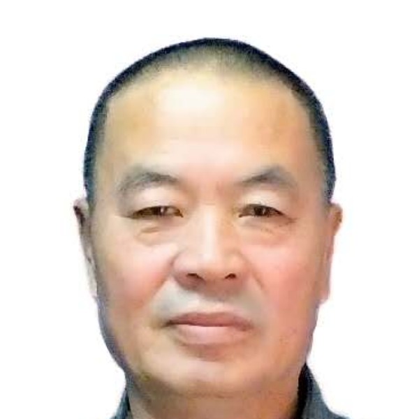 秀丽踢火车的照片