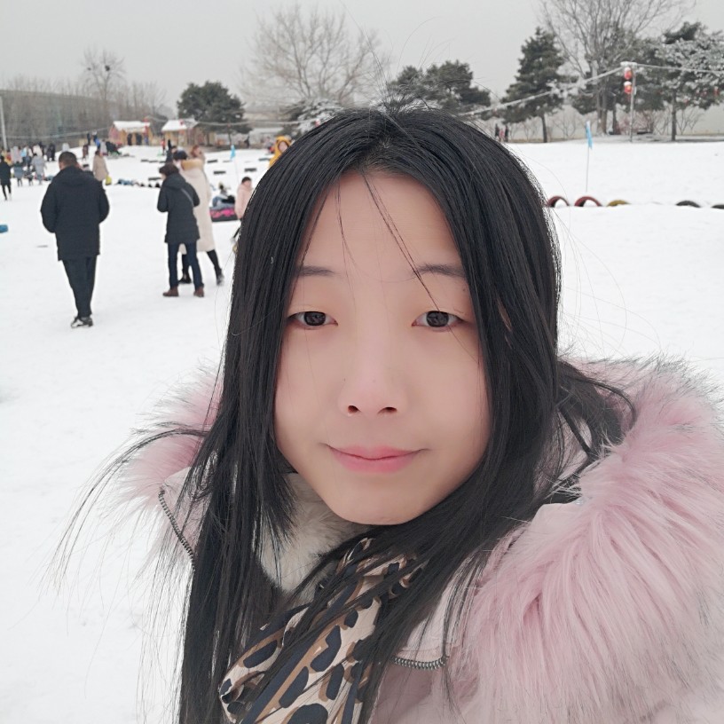 北国风光雪的照片