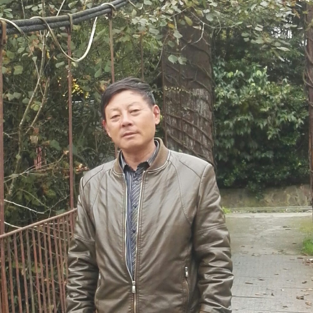 愉快砖头的照片