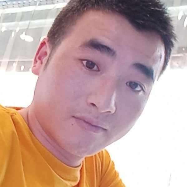 不爱学习的猴子的照片