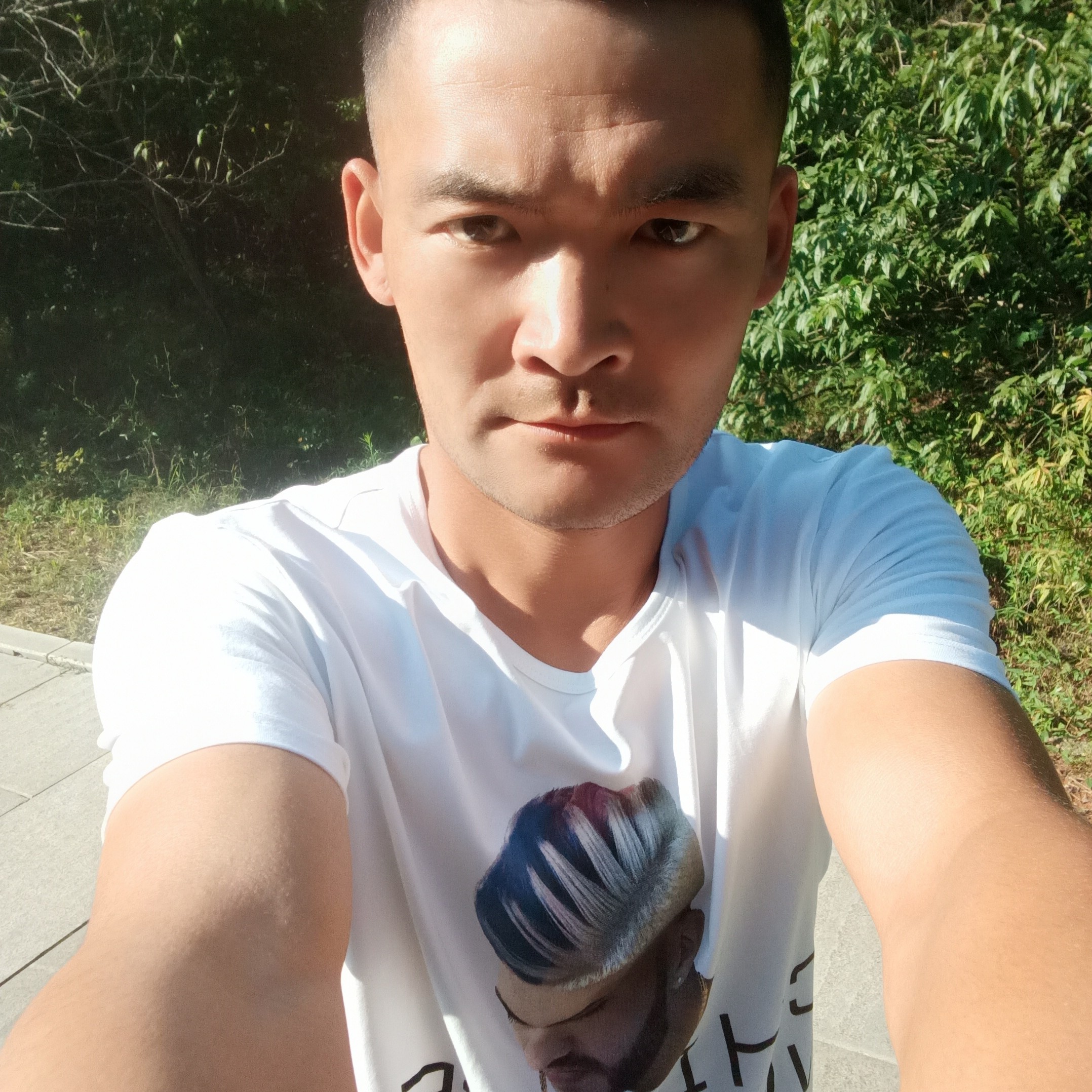 芝麻深拥明亮的照片