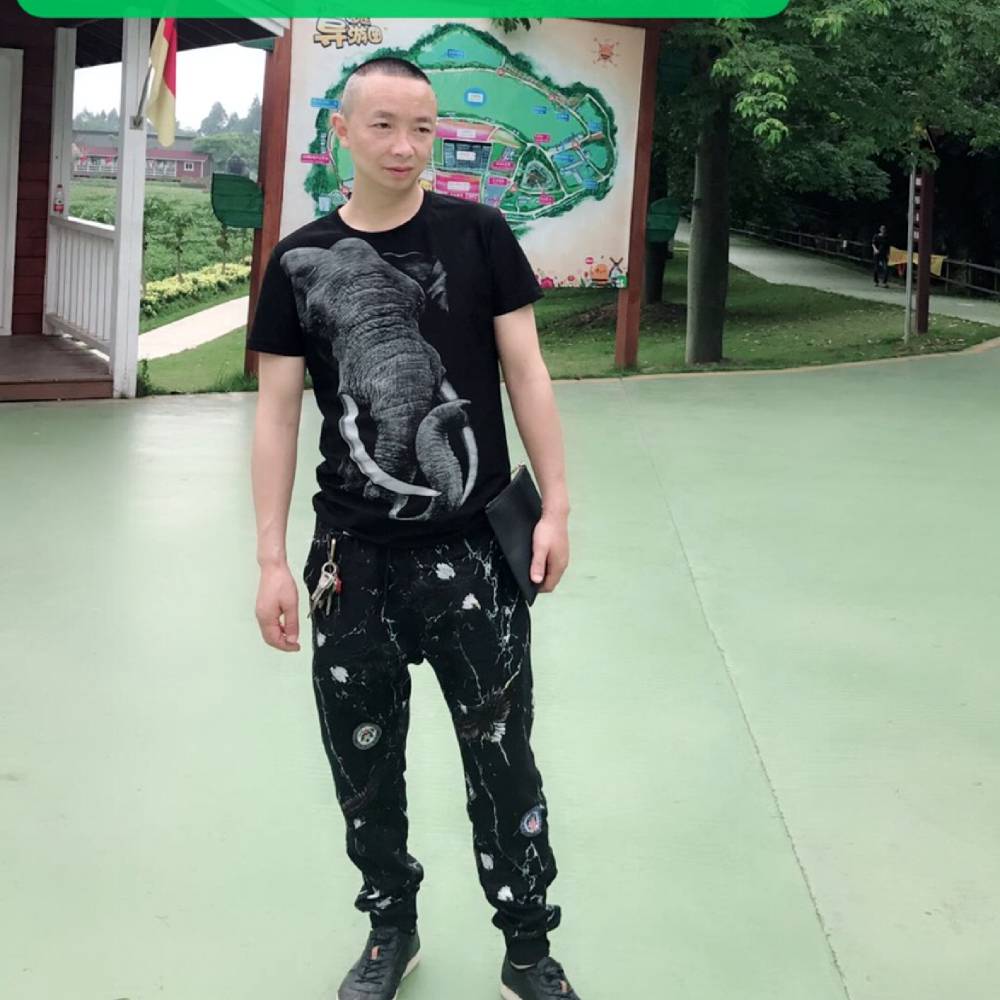 初夏和小天鹅的照片