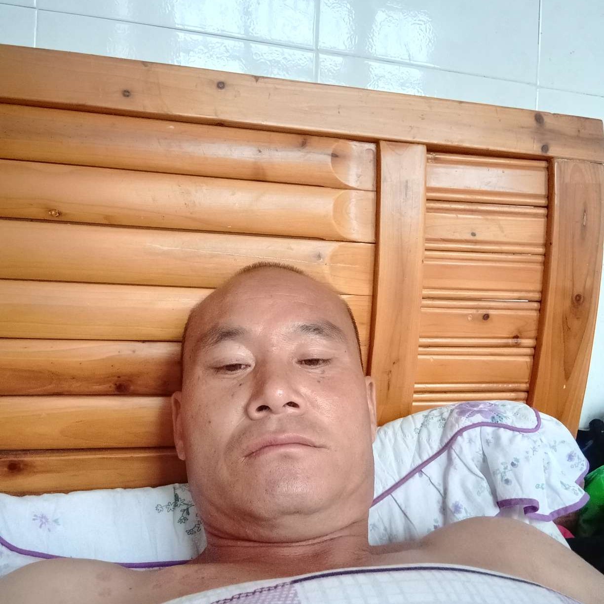 红牛浅吻阳光的照片