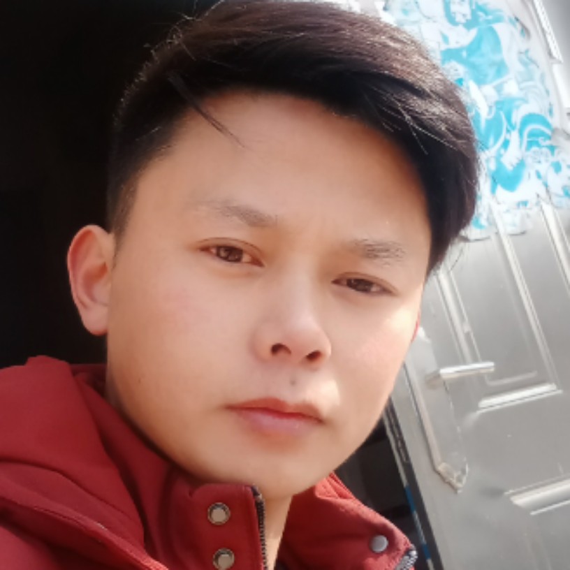 沙狼的照片