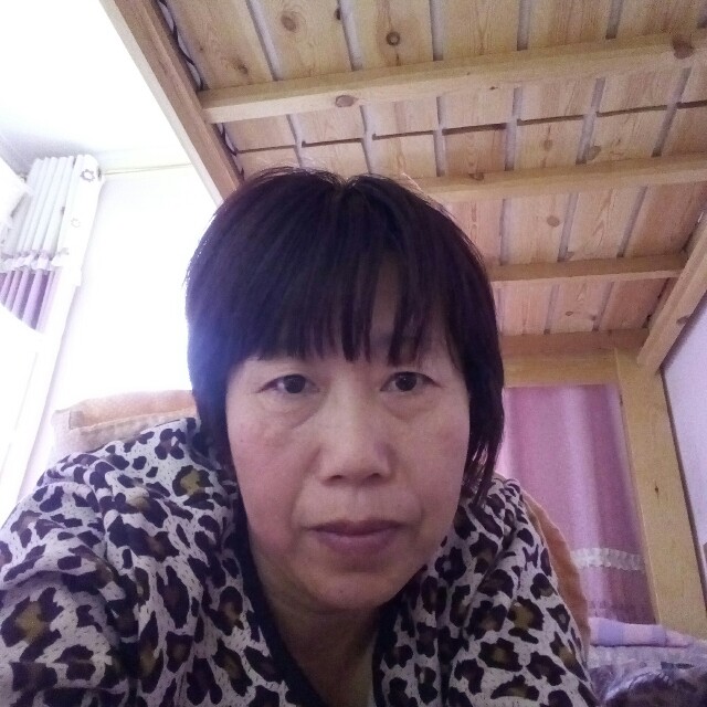 迅速蜻蜓的照片