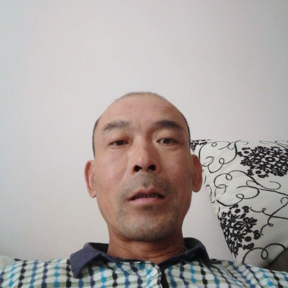 猎豹有冷酷的照片