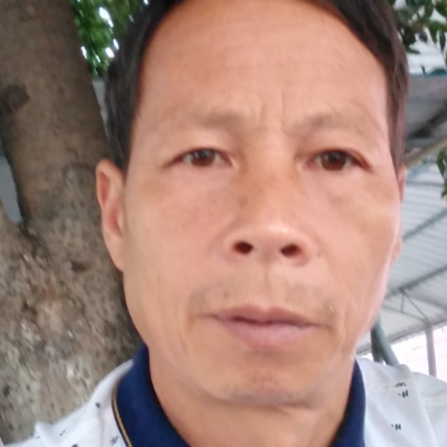 羽毛鲤鱼的照片