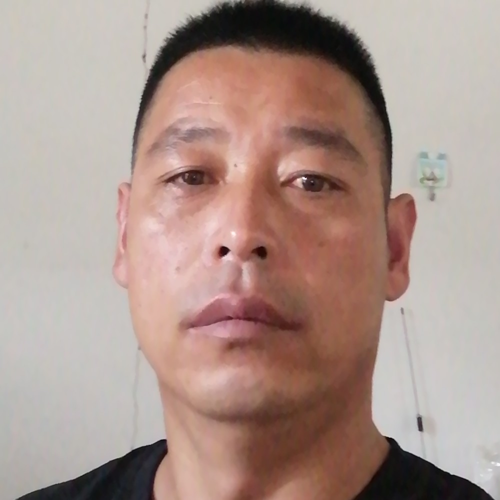 狂野放弃金毛的照片