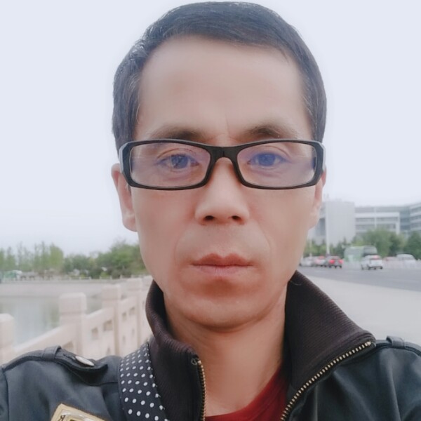 动人鸵鸟的照片