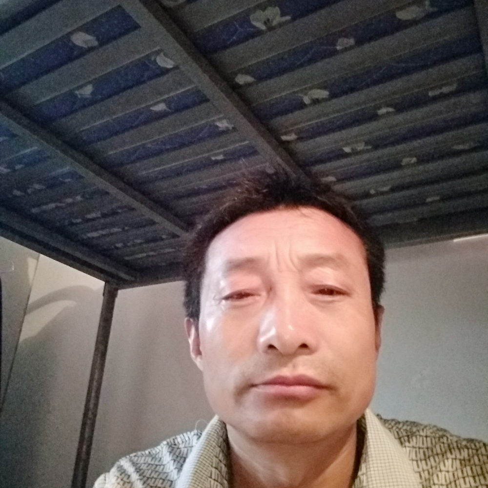 绿草缘的照片