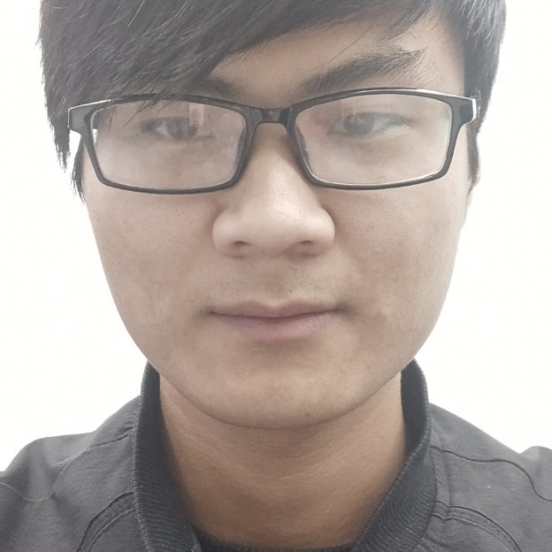 落寂扯大树的照片