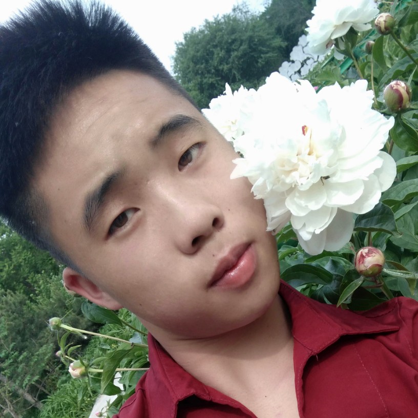 重庆小罗哥的照片