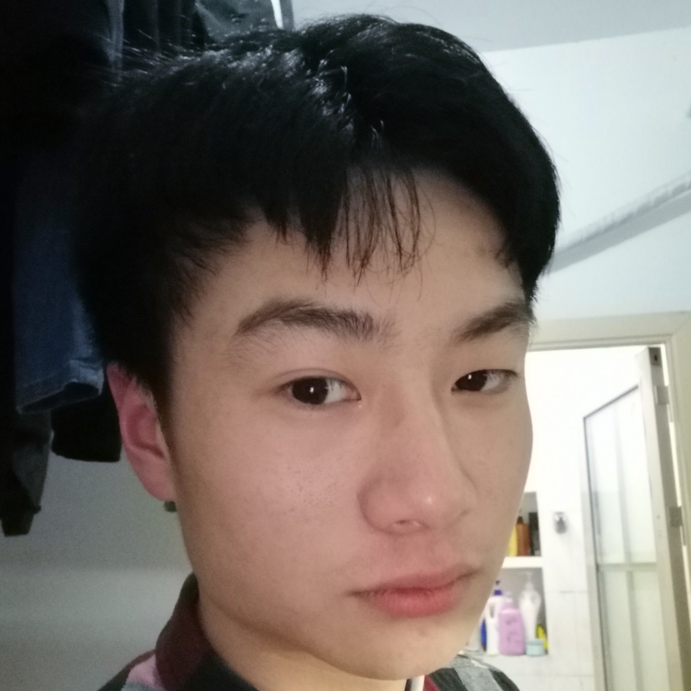 稳重猫咪的照片