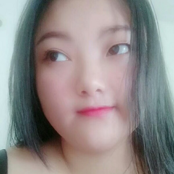 正直猎豹的照片