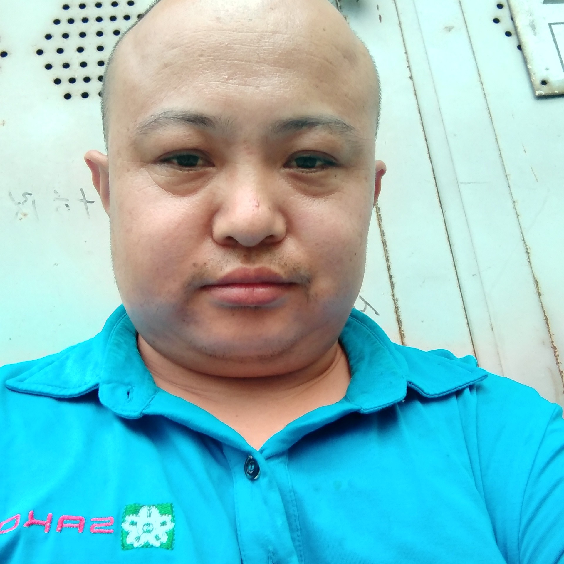 小刺猬泪了幸福的照片