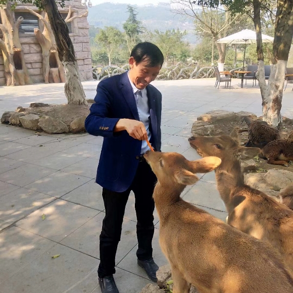 睫毛膏回眸瘦瘦的照片