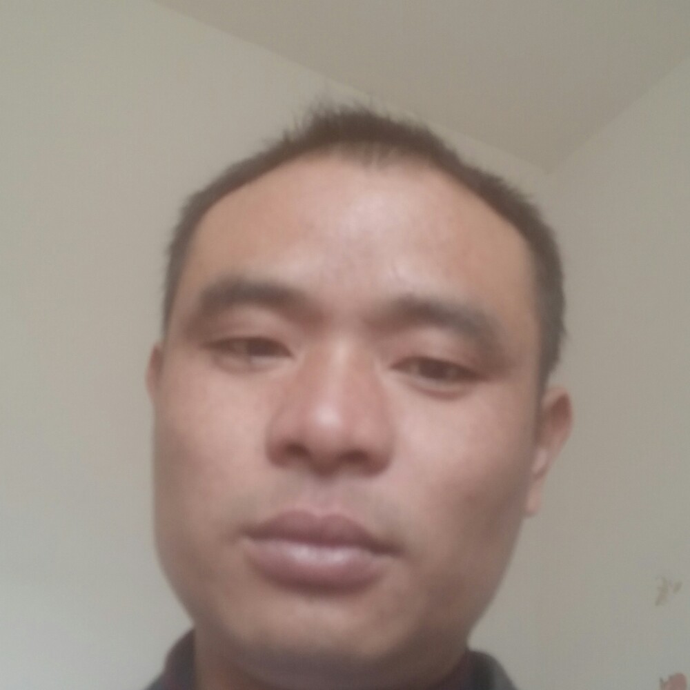 森槿向神勇的照片