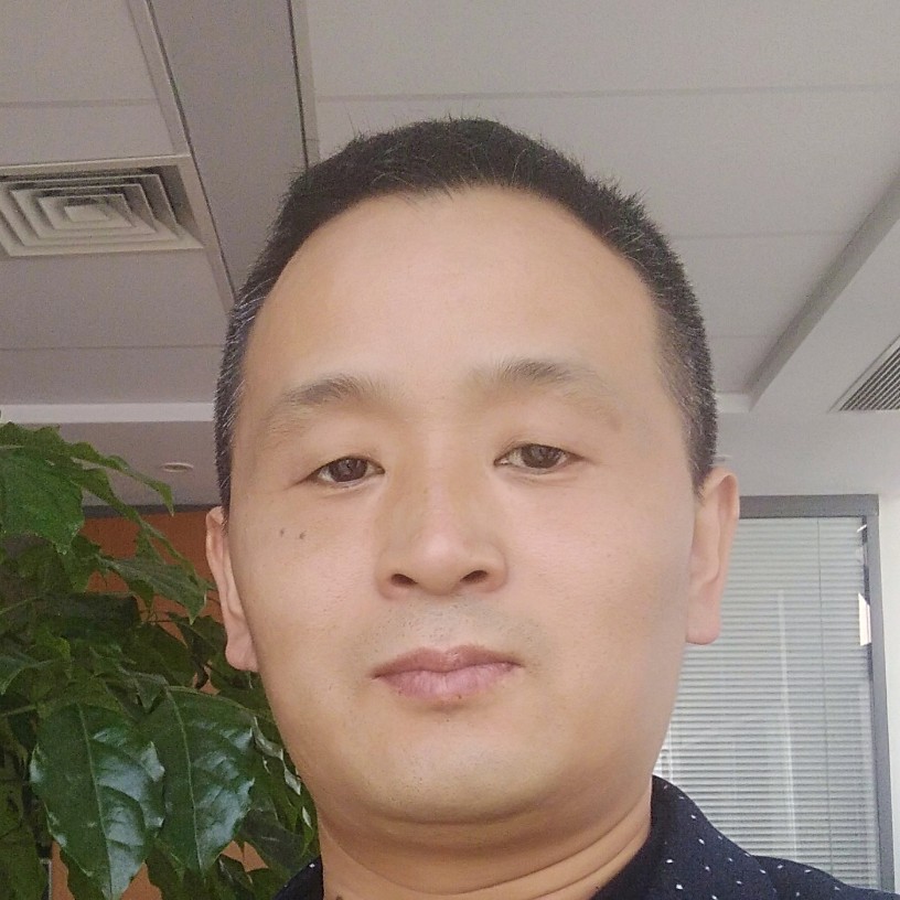竹林品茶的照片