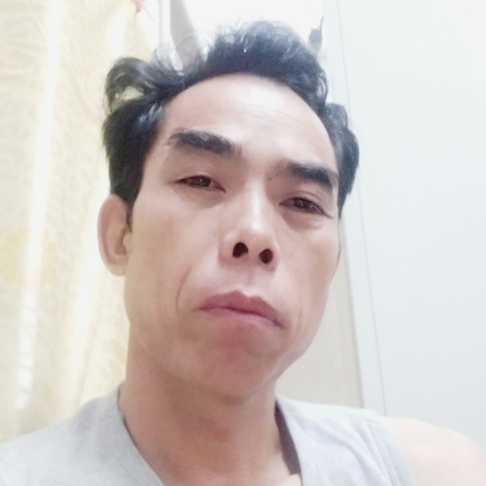 黄豆安静的照片