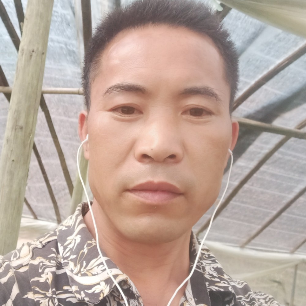 青花邂逅疯狂的照片