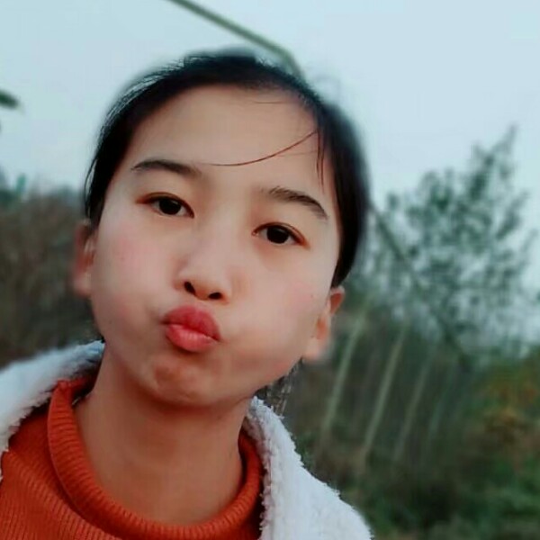 美好夕阳的照片