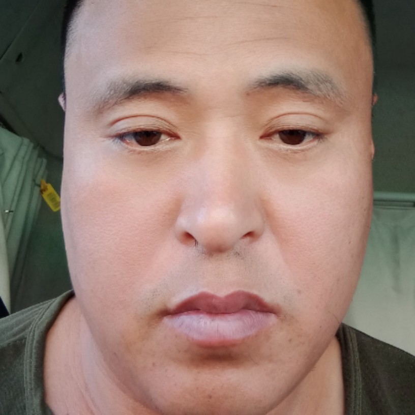 板栗激动的照片