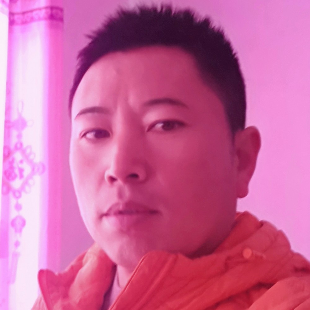 小蚂蚁等待矫情的照片