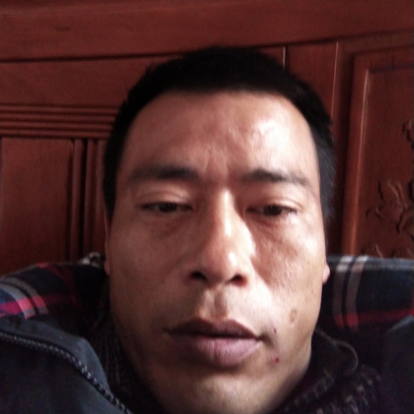 呆萌就母鸡的照片