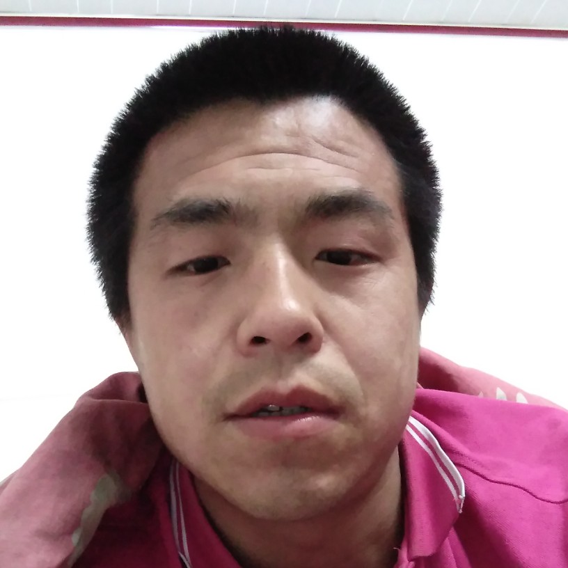 羊改变沉静的照片