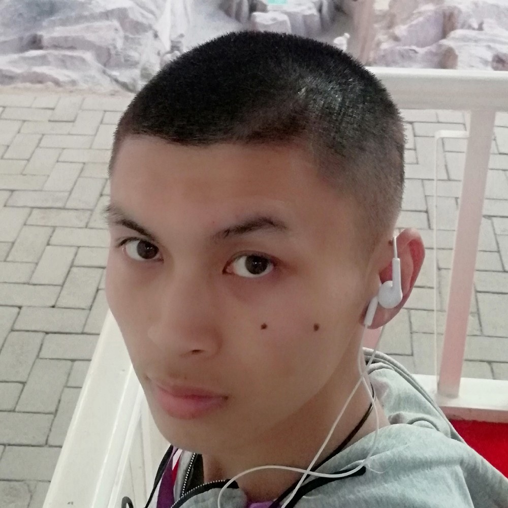 心岛标致的照片