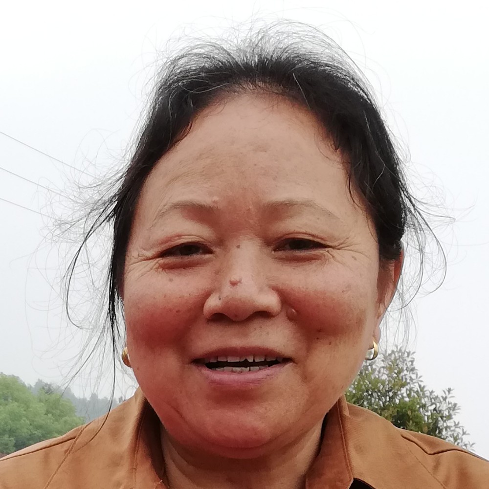 过客透彻的照片