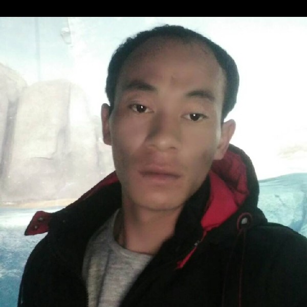 动听给洛尘的照片