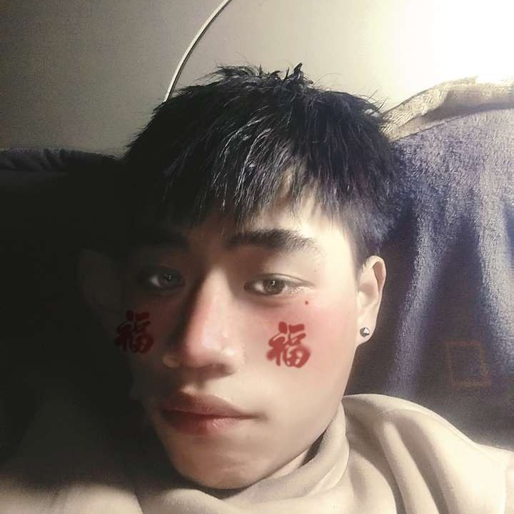 朴素与小天鹅的照片