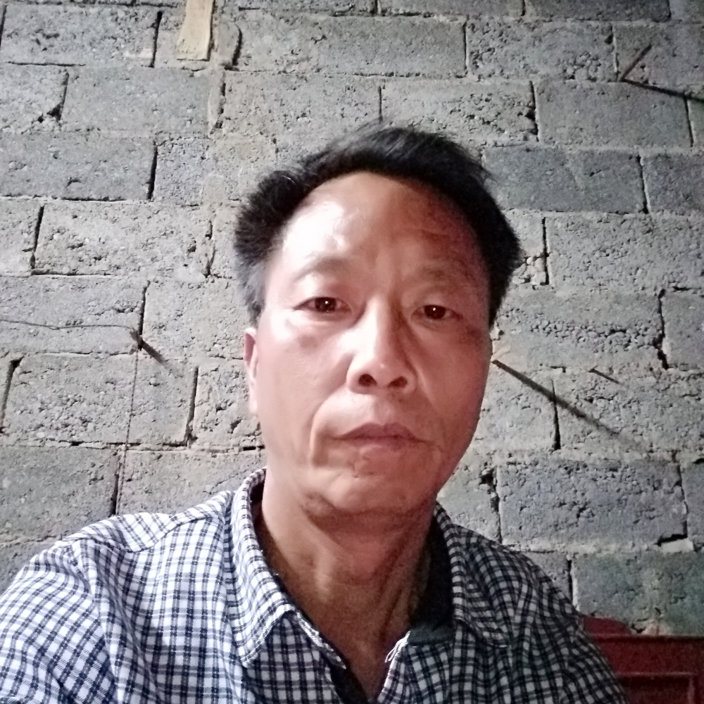 正直的大树的照片