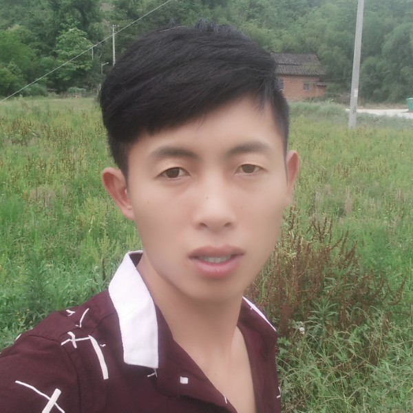 情动停止受伤的照片
