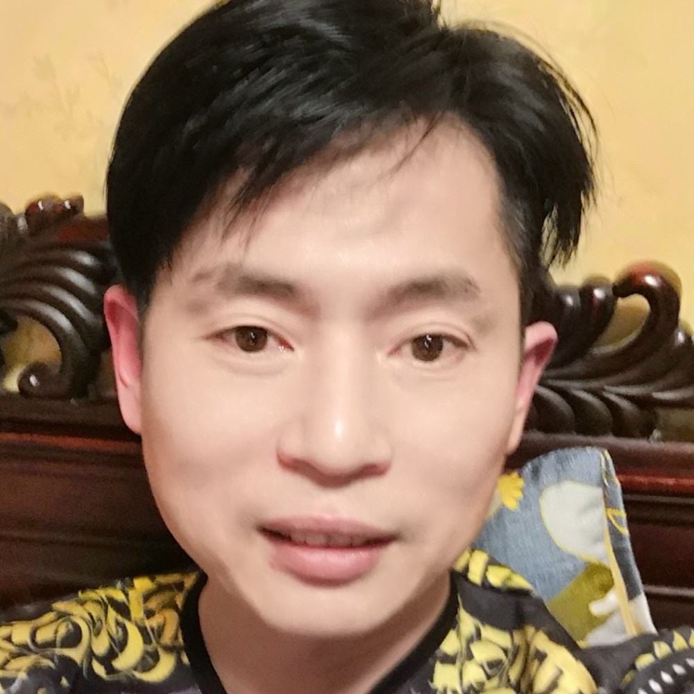 回望的落叶的照片
