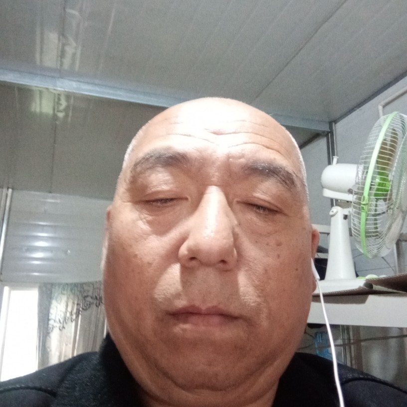 乖的兔的照片