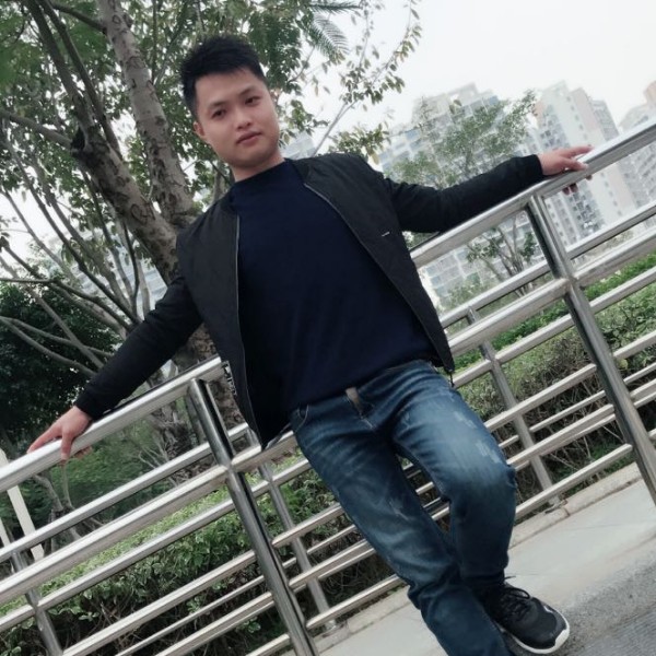 简单狗的照片