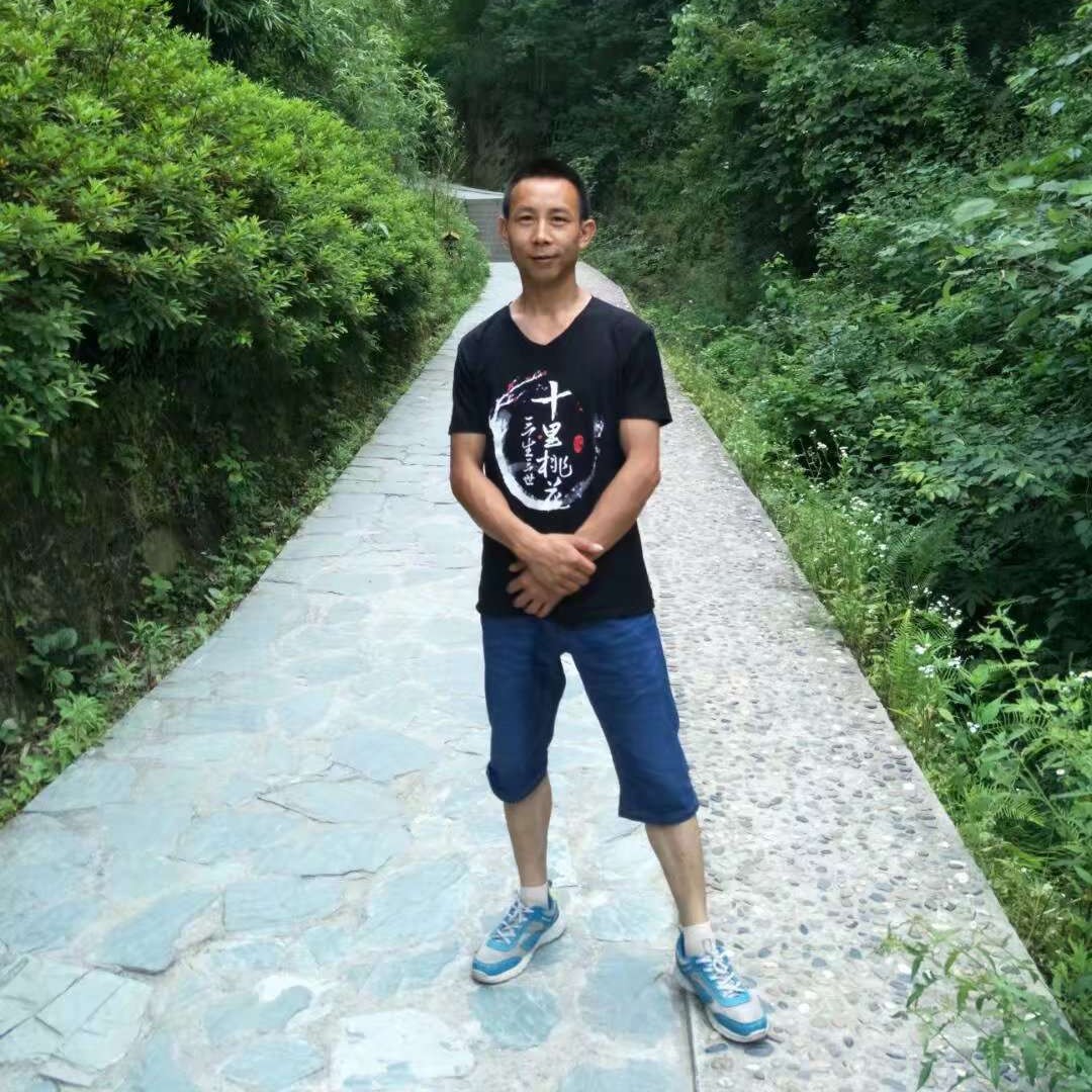 刺猬漫步欣慰的照片